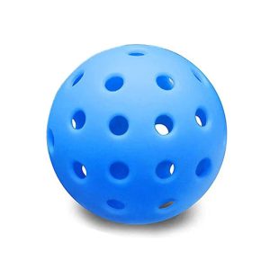 OEM Pickleball-1