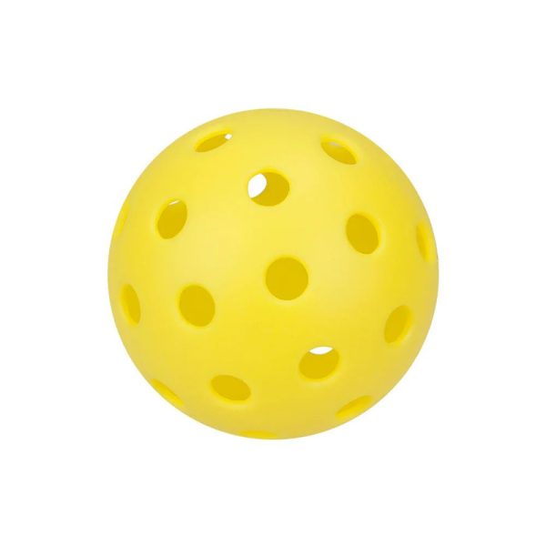 OEM Pickleball-1
